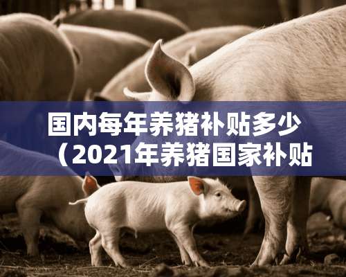 国内每年养猪补贴多少（2021年养猪国家补贴多少）