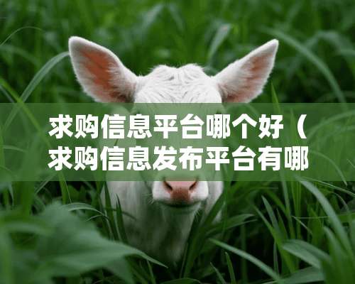 求购信息平台哪个好（求购信息发布平台有哪些）