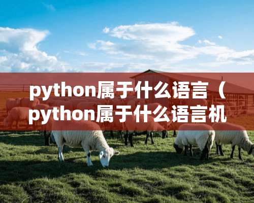 python属于什么语言（python属于什么语言机器语言）