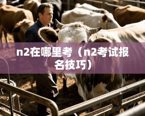 n2在哪里考（n2考试报名技巧）