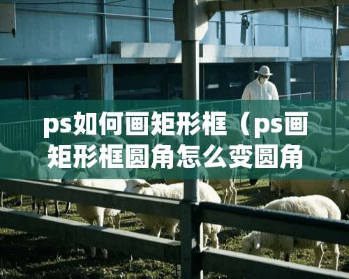 ps如何画矩形框（ps画矩形框圆角怎么变圆角了）