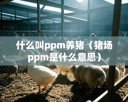 什么叫ppm养猪（猪场ppm是什么意思）