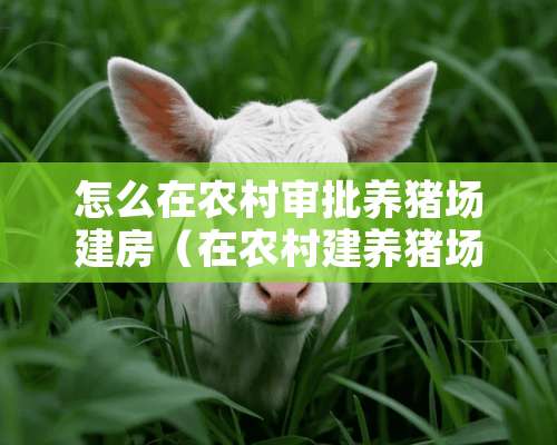 怎么在农村审批养猪场建房（在农村建养猪场要走什么程序?）