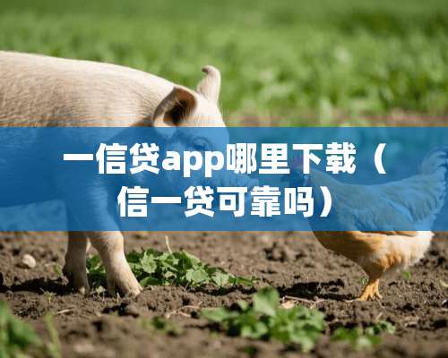 一信贷app哪里下载（信一贷可靠吗）