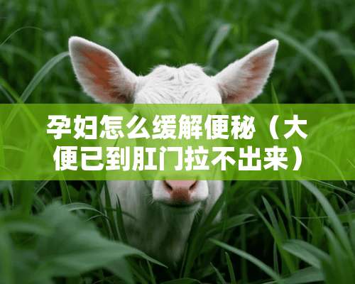 孕妇怎么缓解便秘（大便已到肛门拉不出来）