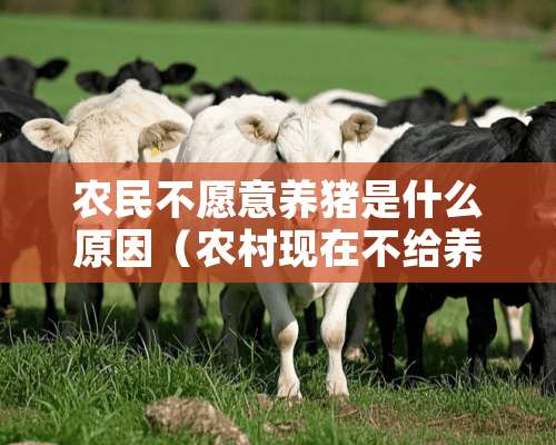 农民不愿意养猪是什么原因（农村现在不给养猪让农民怎么办?）