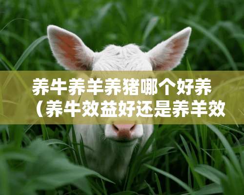 养牛养羊养猪哪个好养（养牛效益好还是养羊效益好）