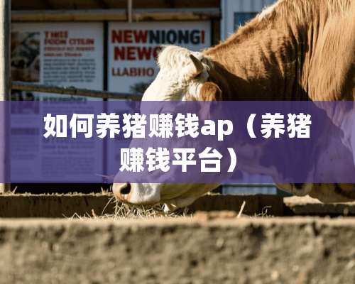 如何养猪赚钱ap（养猪赚钱平台）