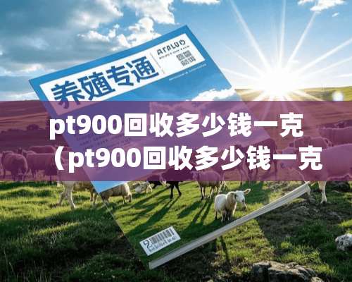 pt900回收多少钱一克（pt900回收多少钱一克2019年）