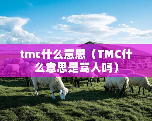 tmc什么意思（TMC什么意思是骂人吗）