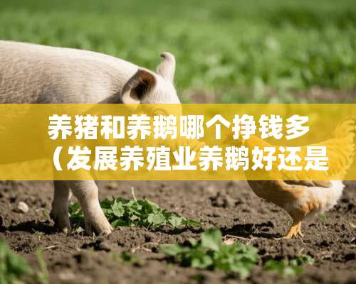 养猪和养鹅哪个挣钱多（发展养殖业养鹅好还是养鸭好?）