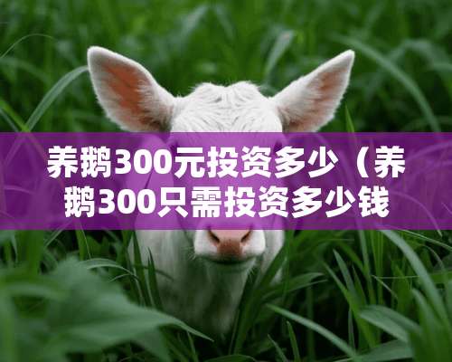 养鹅300元投资多少（养鹅300只需投资多少钱,利润有多少）