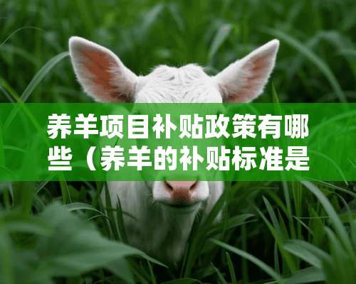 养羊项目补贴政策有哪些（养羊的补贴标准是什么?）