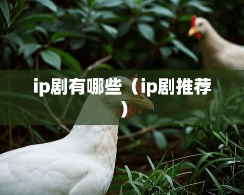 ip剧有哪些（ip剧推荐）