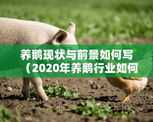 养鹅现状与前景如何写（2020年养鹅行业如何发展?）