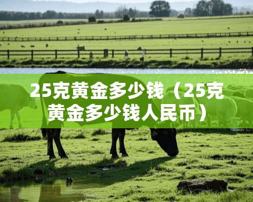 25克黄金多少钱（25克黄金多少钱人民币）