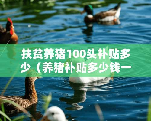 扶贫养猪100头补贴多少（养猪补贴多少钱一头）