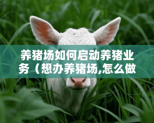 养猪场如何启动养猪业务（想办养猪场,怎么做）