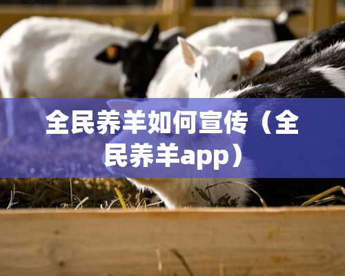 全民养羊如何宣传（全民养羊app）