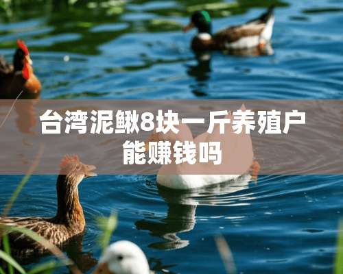 台湾泥鳅8块一斤养殖户能赚钱吗