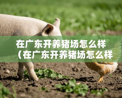 在广东开养猪场怎么样（在广东开养猪场怎么样啊）