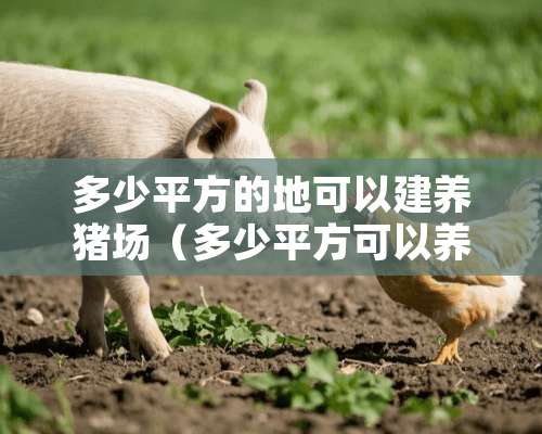 多少平方的地可以建养猪场（多少平方可以养一头猪）