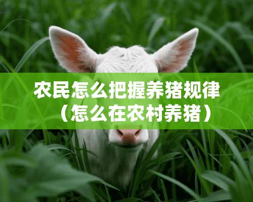 农民怎么把握养猪规律（怎么在农村养猪）