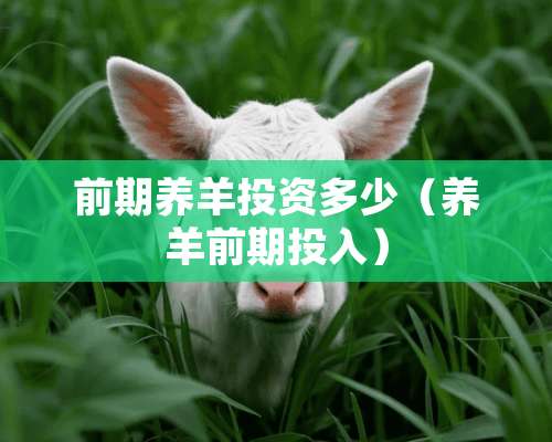 前期养羊投资多少（养羊前期投入）