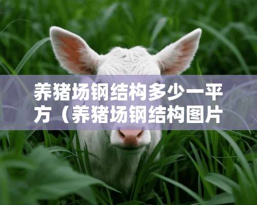 养猪场钢结构多少一平方（养猪场钢结构图片大全）