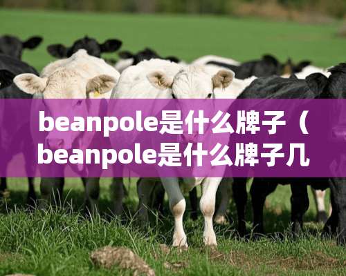 beanpole是什么牌子（beanpole是什么牌子几线品牌）