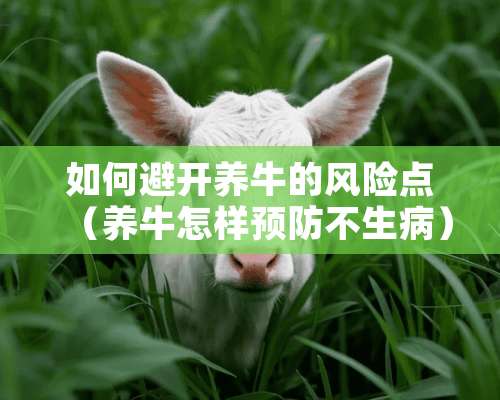 如何避开养牛的风险点（养牛怎样预防不生病）