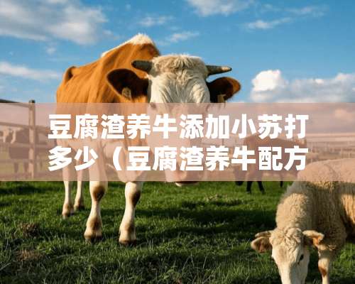 豆腐渣养牛添加小苏打多少（豆腐渣养牛配方）