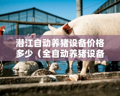 潜江自动养猪设备价格多少（全自动养猪设备多少钱一套）