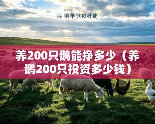 养200只鹅能挣多少（养鹅200只投资多少钱）