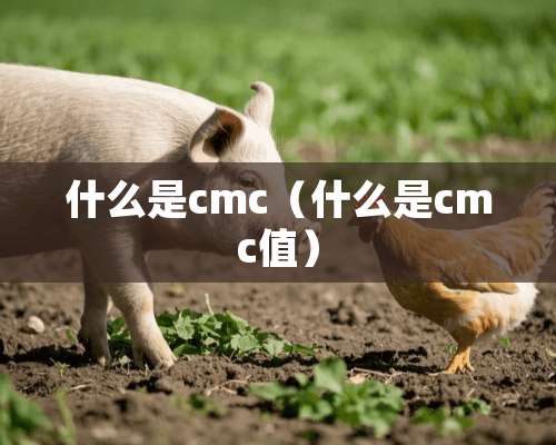 什么是cmc（什么是cmc值）