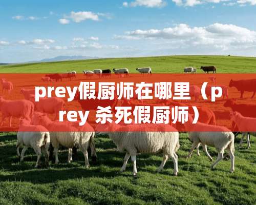 prey假厨师在哪里（prey **假厨师）