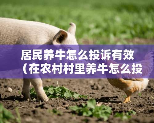 居民养牛怎么投诉有效（在农村村里养牛怎么投诉电话）