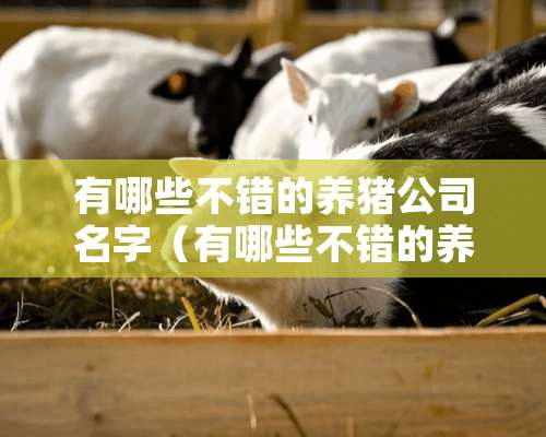 有哪些不错的养猪公司名字（有哪些不错的养猪公司名字呢）