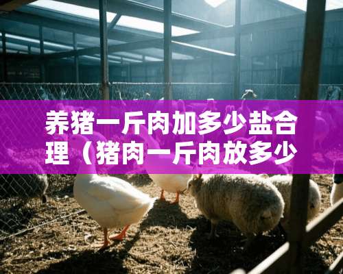 养猪一斤肉加多少盐合理（猪肉一斤肉放多少盐合适）