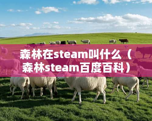 森林在steam叫什么（森林steam百度百科）