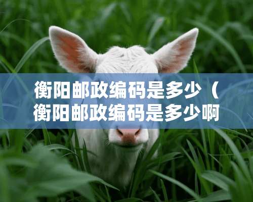 衡阳邮政编码是多少（衡阳邮政编码是多少啊）