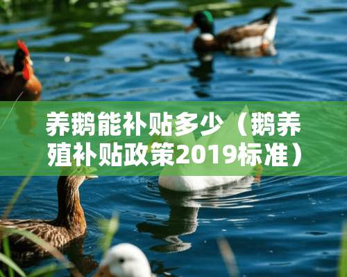 养鹅能补贴多少（鹅养殖补贴政策2019标准）