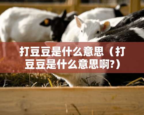 打豆豆是什么意思（打豆豆是什么意思啊?）