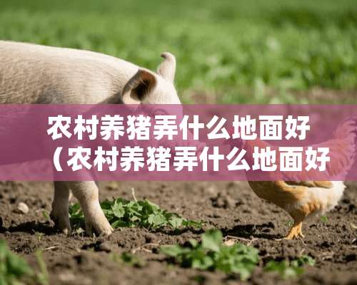 农村养猪弄什么地面好（农村养猪弄什么地面好看）