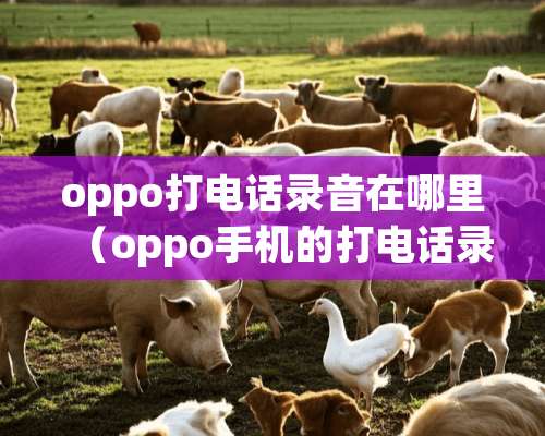 oppo打电话录音在哪里（oppo手机的打电话录音存在哪个文件夹里）