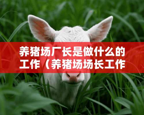 养猪场厂长是做什么的工作（养猪场场长工作职责）