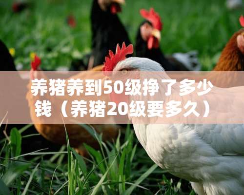 养猪养到50级挣了多少钱（养猪20级要多久）