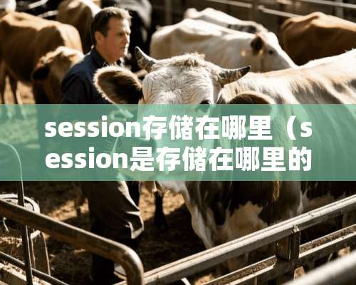 session存储在哪里（session是存储在哪里的）