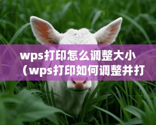 wps打印怎么调整大小（wps打印如何调整并打和缩放）