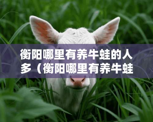 衡阳哪里有养牛蛙的人多（衡阳哪里有养牛蛙的人多啊）